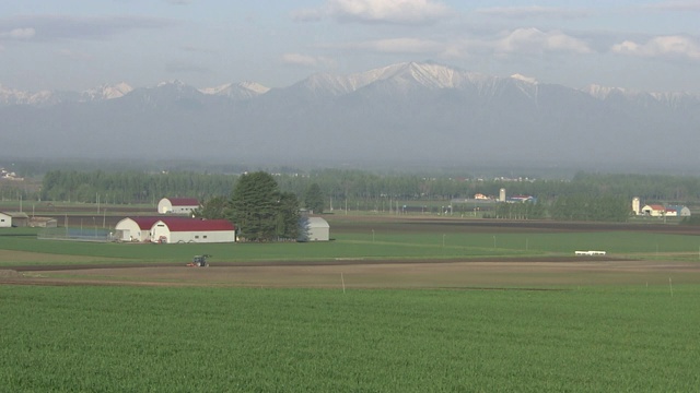 日本北海道初夏麦田视频素材