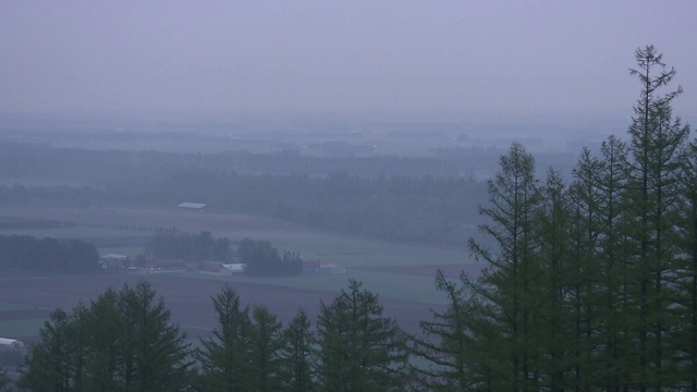 日本北海道十胜平原的大雾清晨视频素材