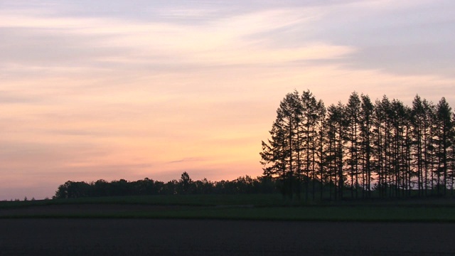 日本，北海道，十胜平原视频素材