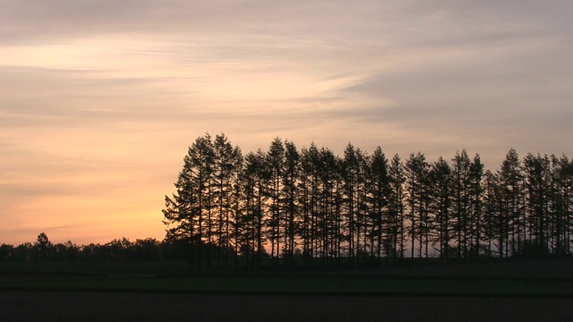 日本，北海道，十胜平原视频素材