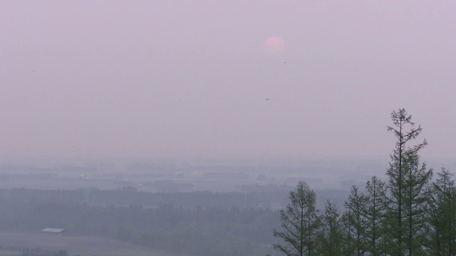 日本北海道十胜平原的大雾清晨视频素材