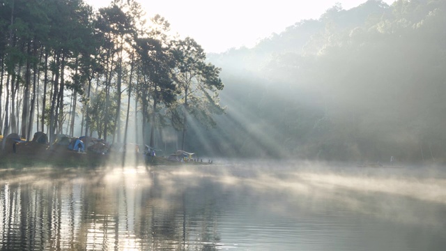 上午的气氛和阳光在庞翁湖森林种植园，梅洪臣省，泰国北部亚洲。旅游景点让人放松，与自然为伴。视频素材