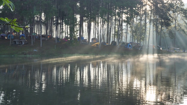 上午的气氛和阳光在庞翁湖森林种植园，梅洪臣省，泰国北部亚洲。旅游景点让人放松，与自然为伴。潘相机视频素材