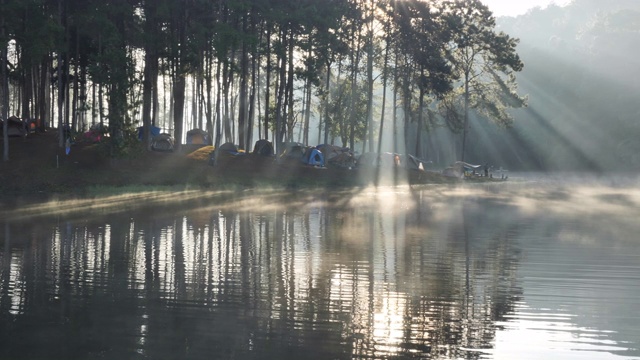 上午的气氛和阳光在庞翁湖森林种植园，梅洪臣省，泰国北部亚洲。旅游景点让人放松，与自然为伴。泛镜头慢动作视频素材