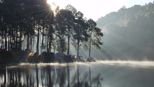 上午的气氛和阳光在庞翁湖森林种植园，梅洪臣省，泰国北部亚洲。旅游景点让人放松，与自然为伴。慢动作视频素材