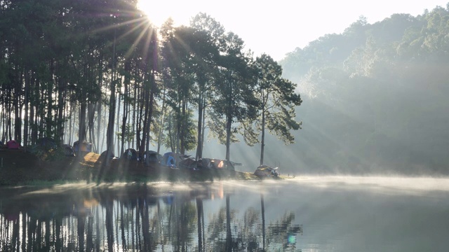 上午的气氛和阳光在庞翁湖森林种植园，梅洪臣省，泰国北部亚洲。旅游景点让人放松，与自然为伴。视频素材