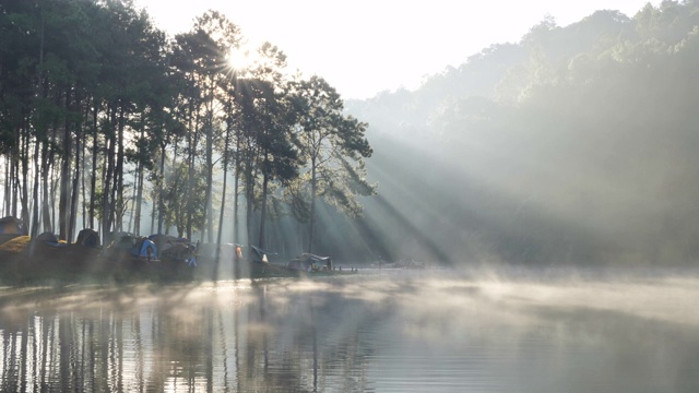 上午的气氛和阳光在庞翁湖森林种植园，梅洪臣省，泰国北部亚洲。旅游景点让人放松，与自然为伴。慢动作视频素材