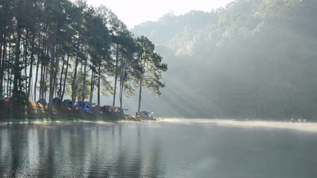 上午的气氛和阳光在庞翁湖森林种植园，梅洪臣省，泰国北部亚洲。旅游景点让人放松，与自然为伴。视频素材