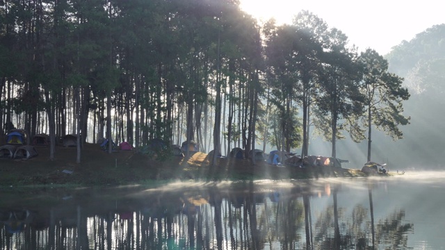 上午的气氛和阳光在庞翁湖森林种植园，梅洪臣省，泰国北部亚洲。旅游景点让人放松，与自然为伴。泛镜头慢动作视频素材