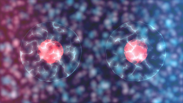 克隆细胞或细胞分裂视频素材