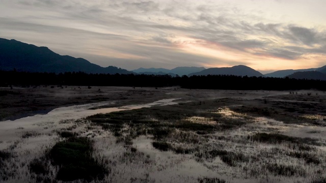 在日出时飞过沼泽地视频素材