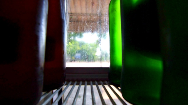 亚洲女人从冰箱里拿啤酒视频下载
