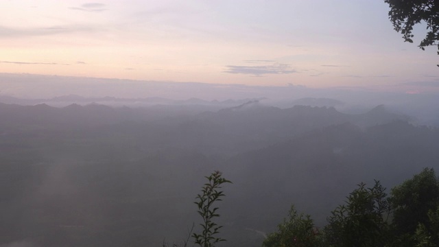 雾吹过森林背景视频下载