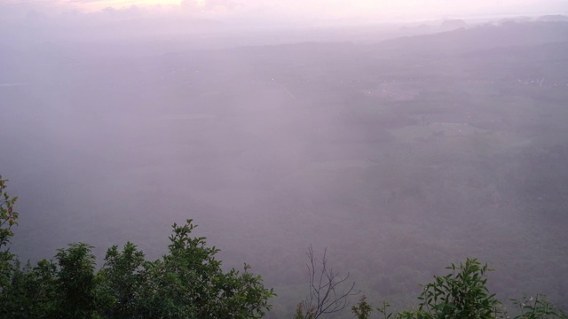 雾吹过森林背景视频下载