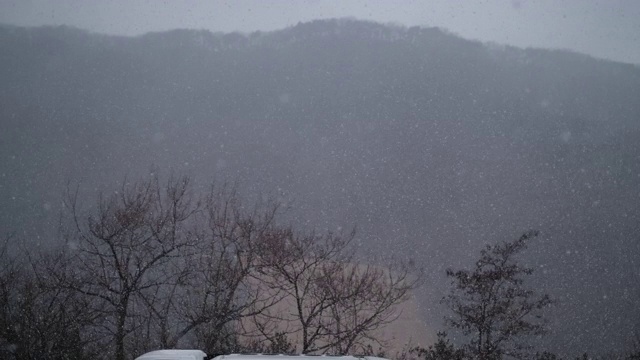 韩国农村下大雪视频下载