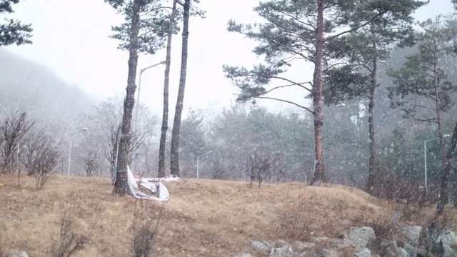 在韩国，在崎岖的道路上进入有大雪的隧道视频素材