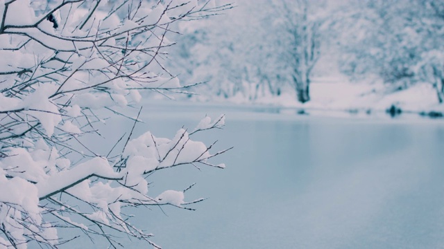 阳光明媚的冬日早晨刚下过雪视频素材