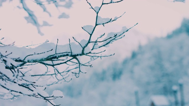 阳光明媚的冬日早晨刚下过雪视频素材