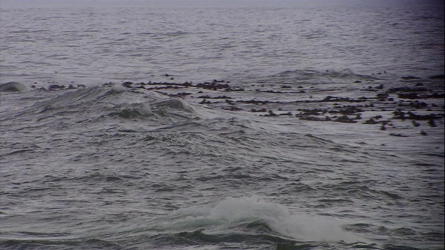 在浅水区，海浪撞击岩石，雾气笼罩其间。视频素材