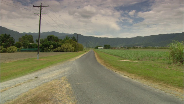 一条乡间小路穿过甘蔗田通向遥远的山区。视频素材