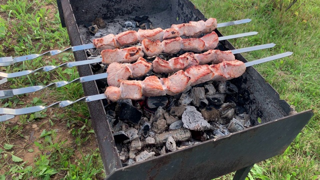 一个人在花园的烧烤架上准备烤肉串，后院的烟和热量就在那里视频素材