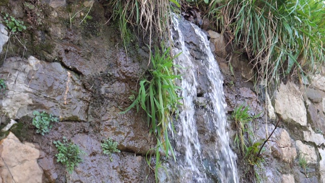 水从长满草的岩石峭壁上流下来视频素材