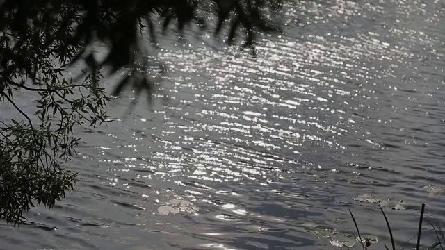 明亮的阳光反射在湖水中视频素材