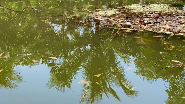 水和湖的倒影视频下载