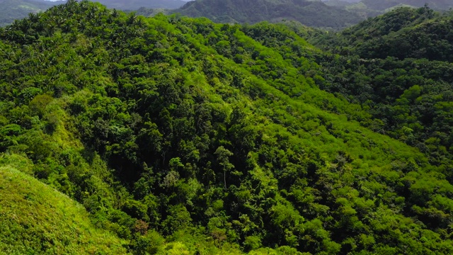 夏天山上绿草如茵，天空湛蓝视频素材