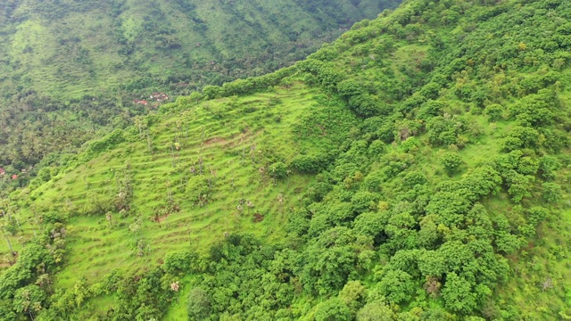 巴厘岛北部山脉的鸟瞰图。视频素材