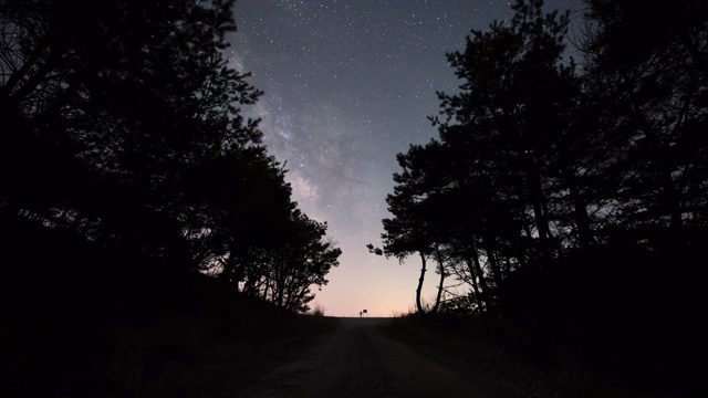 韩国江原道森林小径的夜空视频素材