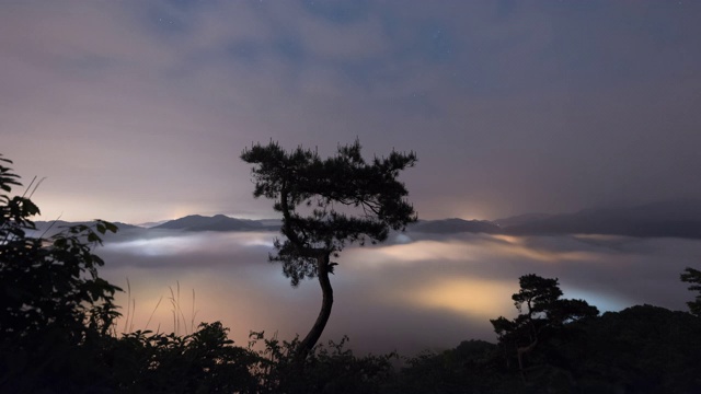 韩国全拉浦岛，古风峰和云海松树夜景视频素材