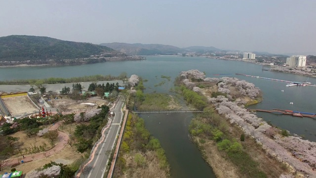 鸟瞰图樱花盛开在博文公园，庆州，韩国，亚洲。视频素材