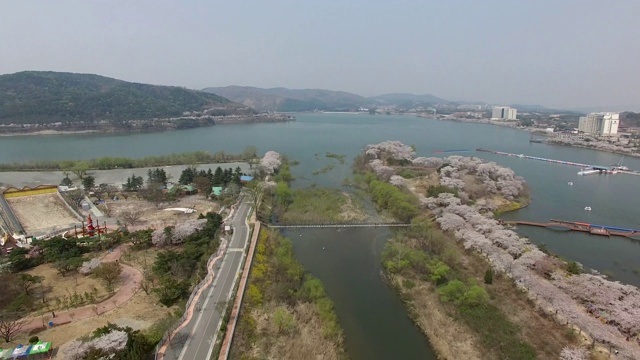 鸟瞰图樱花盛开在博文公园，庆州，韩国，亚洲。视频素材