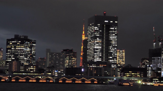 日本东京夜间在河上游弋视频素材