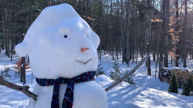 冬天森林里的雪人视频素材