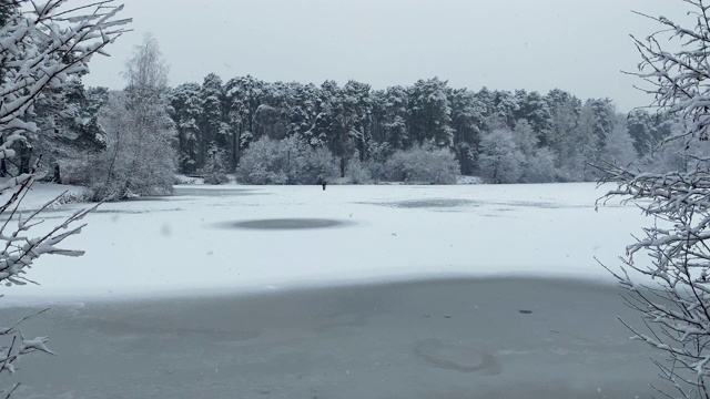 冬季森林湖视频素材