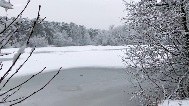 冬季景观湖视频素材