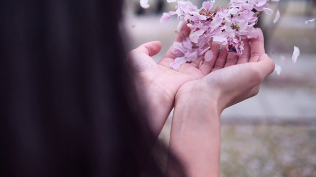 后视图的长黑发女孩吹粉红色的樱花花瓣在她的手在樱花森林，超级慢的动作。视频素材