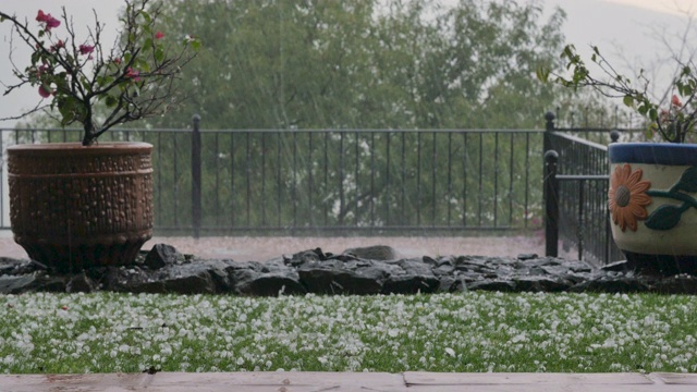 在一场暴风雨中大量的冰雹落在绿色的草地上视频素材