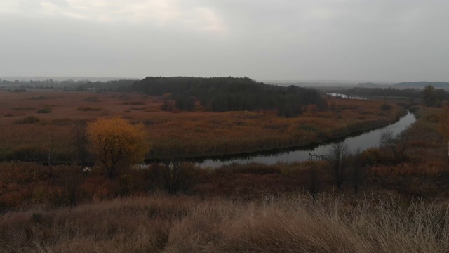 飞越秋景。河流和沼泽。乌克兰视频素材