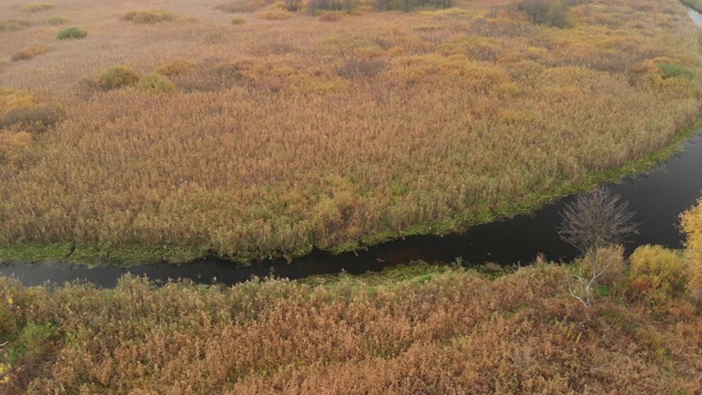 飞越秋景。河流和沼泽。乌克兰视频素材