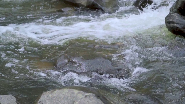 在多云的冬天，河水缓慢地流过河中的岩石视频下载