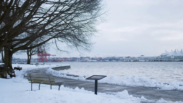 暴风雪后的城市公园小径视频素材