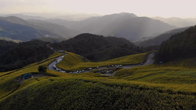 鸟瞰图无人机拍摄的风景优美的热带自然林木林背山视频素材