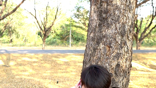 年轻的亚洲夫妇在爱的肖像视频素材