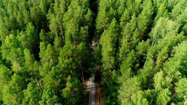 飞机接近云杉顶部显示交通道路在晴天视频素材