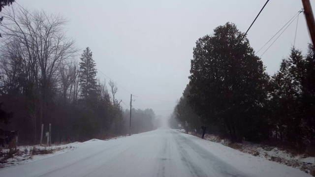 在冬日暴风雪中驾驶乡村常绿森林路。司机视角:下雪了，树旁的乡村道路上下雪了。视频素材