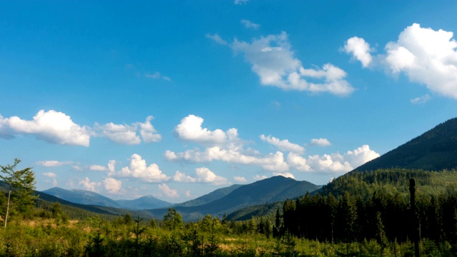 美丽的绿色松树森林山山谷和白云漂浮在蓝天时间流逝在明媚的夏日视频素材