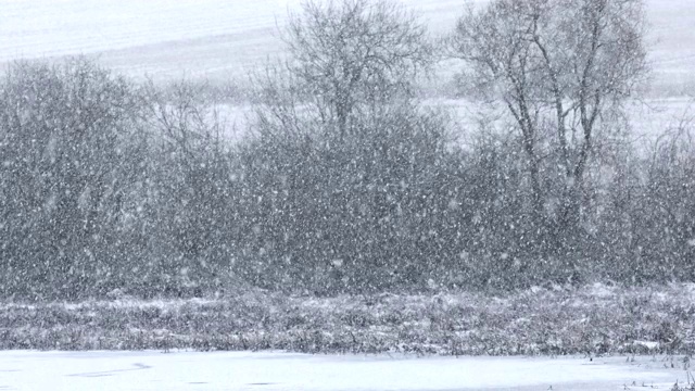 冬天的景色被雪覆盖视频素材